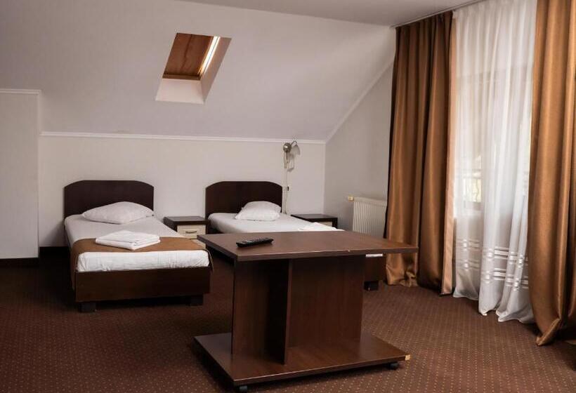 Pensiunea Lido Moisei