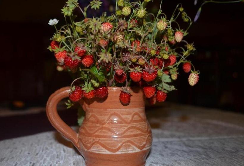 Pensiunea Popasul Iancului