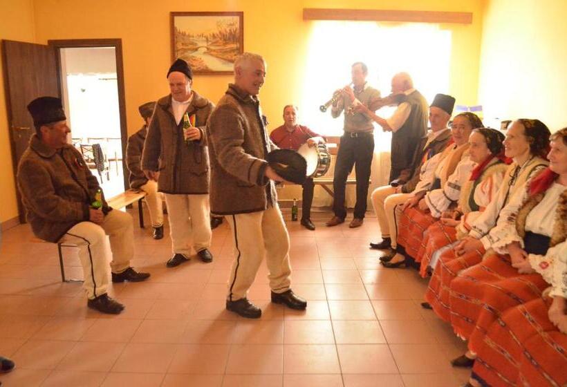 Pensiunea Popasul Iancului