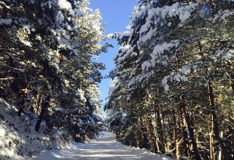 Pensiunea Popasul Iancului