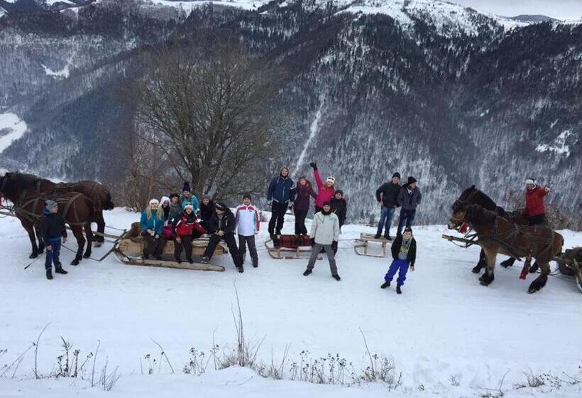 Pensiunea Popasul Iancului