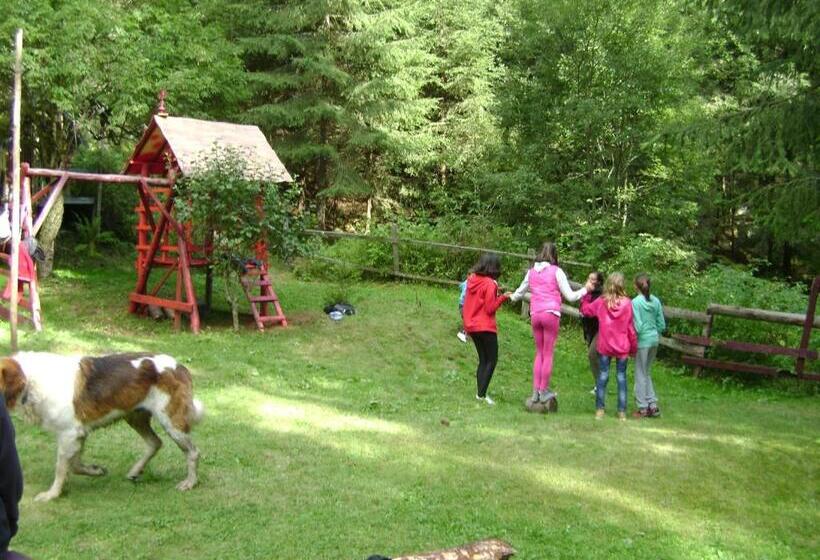 Pensiunea Popasul Iancului