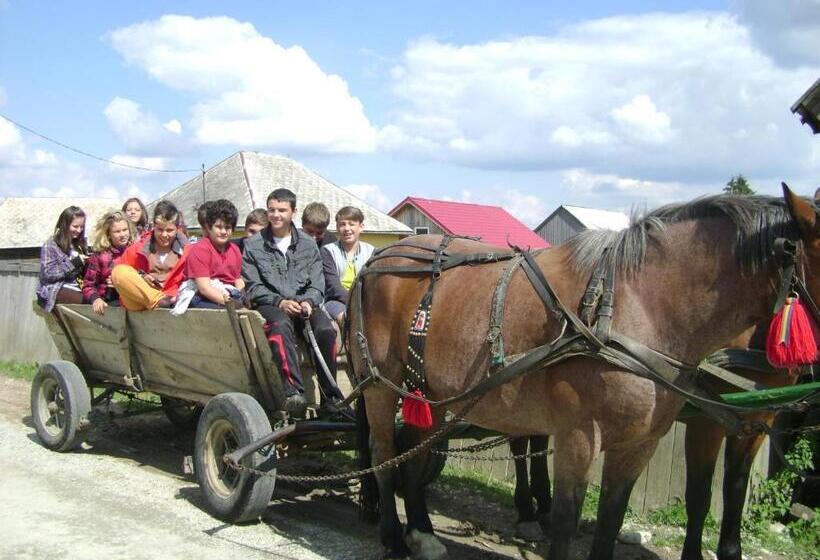 Pensiunea Popasul Iancului