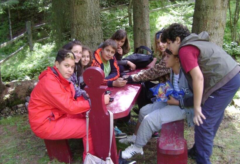 Pensiunea Popasul Iancului