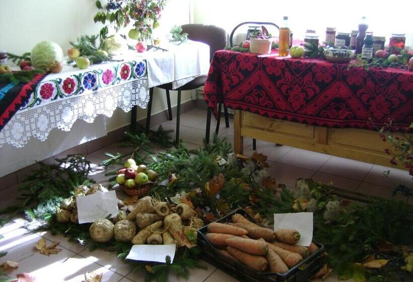 Pensiunea Popasul Iancului