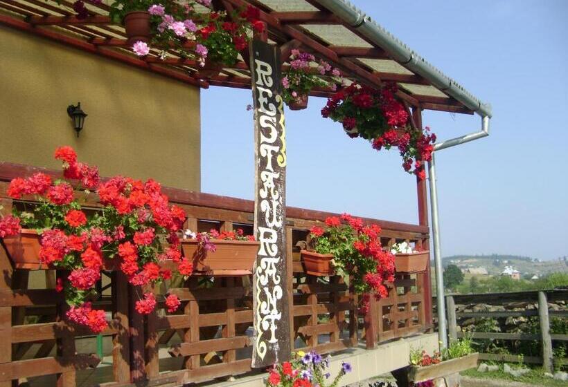 Pensiunea Popasul Iancului