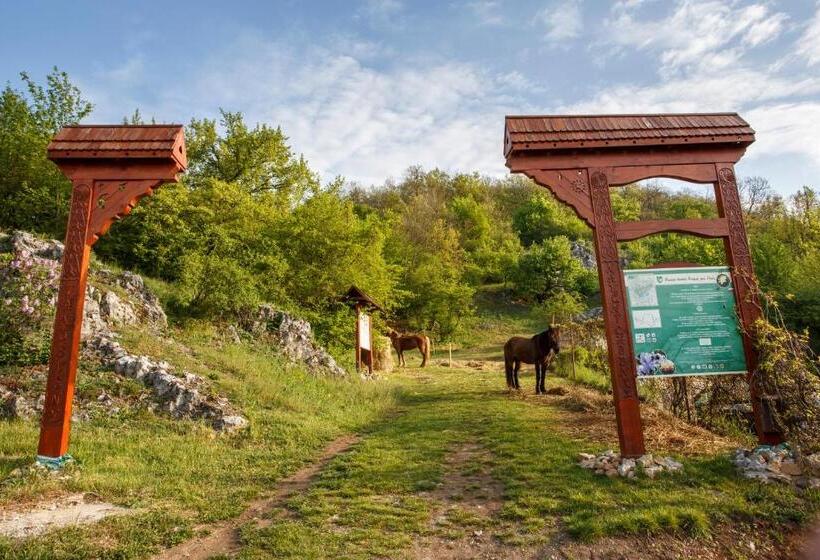 Penzión Skalná Ruža   Kövirózsa Panzió