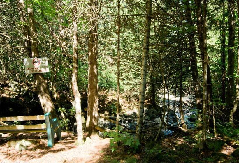 אתר נופש Camping Chalets Spas Pignons Rouges