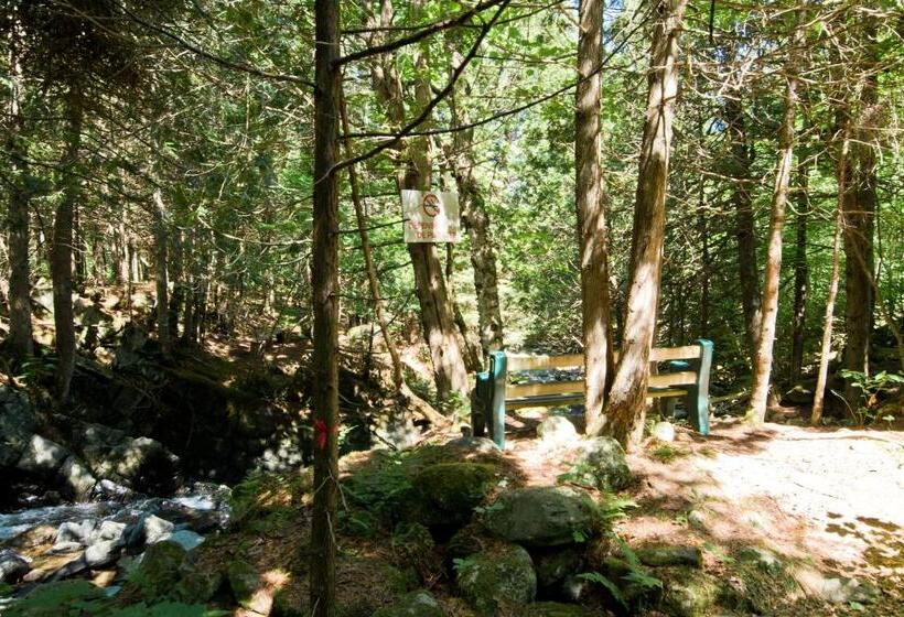 אתר נופש Camping Chalets Spas Pignons Rouges