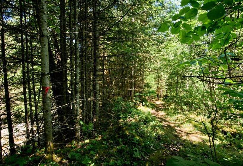 אתר נופש Camping Chalets Spas Pignons Rouges