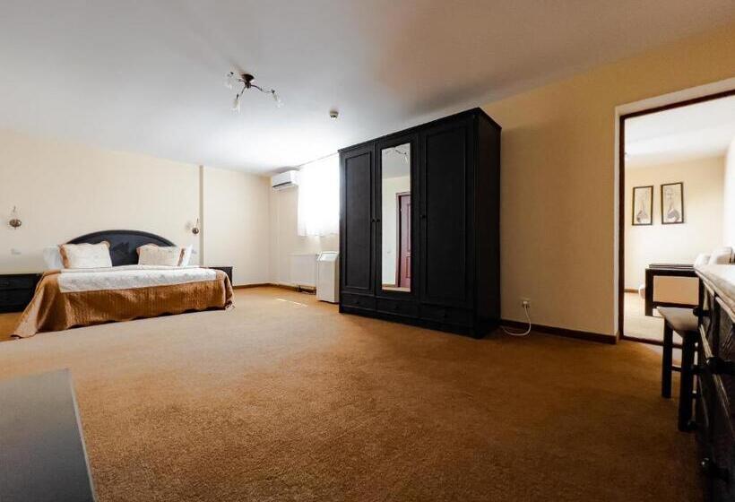 リゾートホテル Complex Turistic Darina Sancraiu De Mures