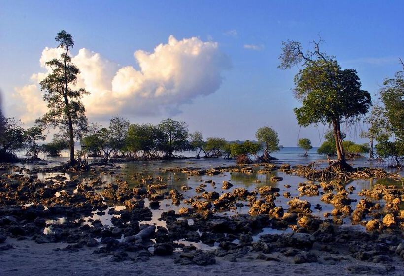 אתר נופש Sea Shell Neil