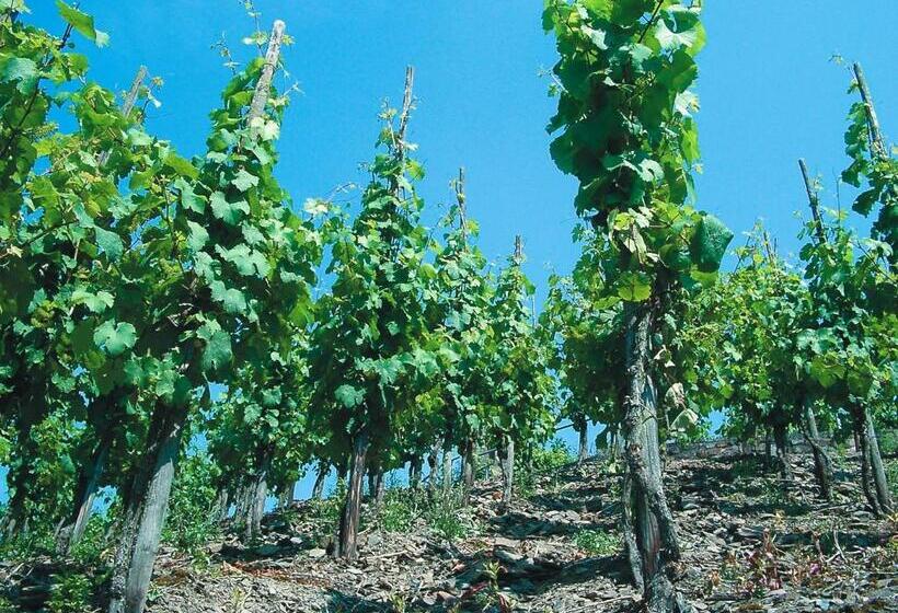 Weinhotel Hubertus Garni