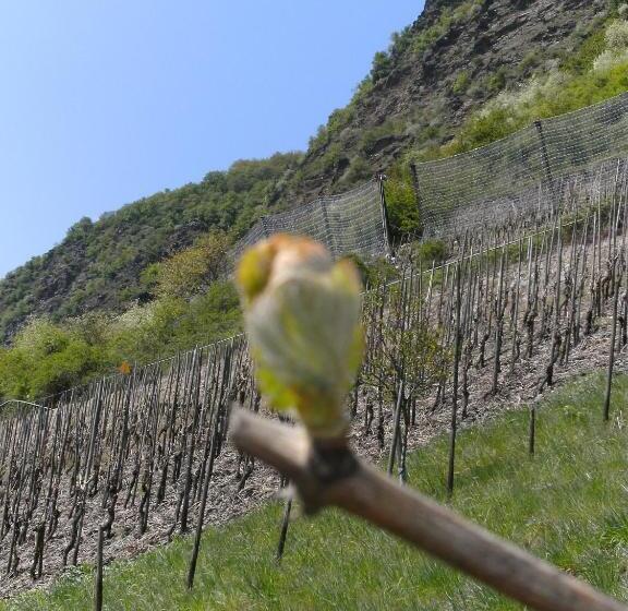 Weinhotel Hubertus Garni