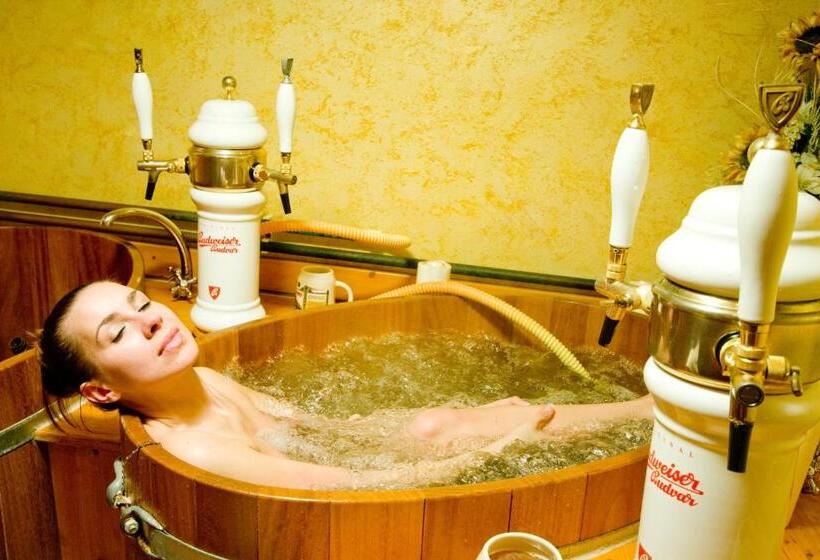 Wellness Hotel Bahenec