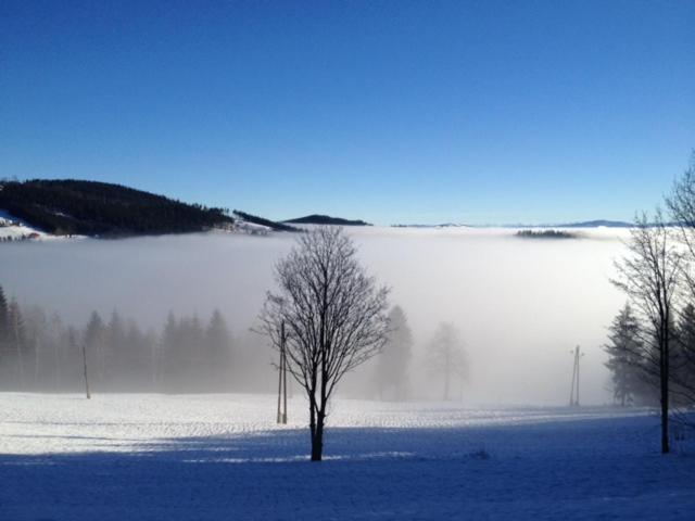 Wellness Hotel Bahenec