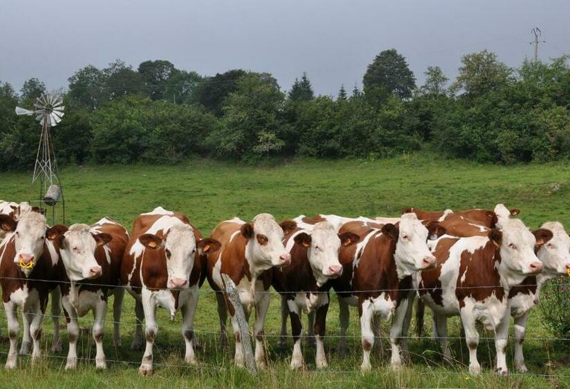 호스텔 Auberge Le Sillet