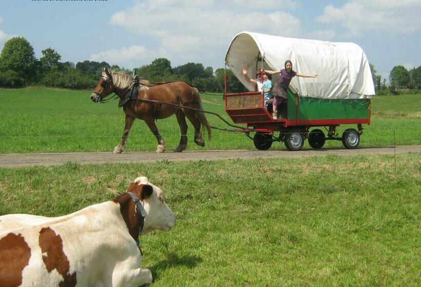 호스텔 Auberge Le Sillet