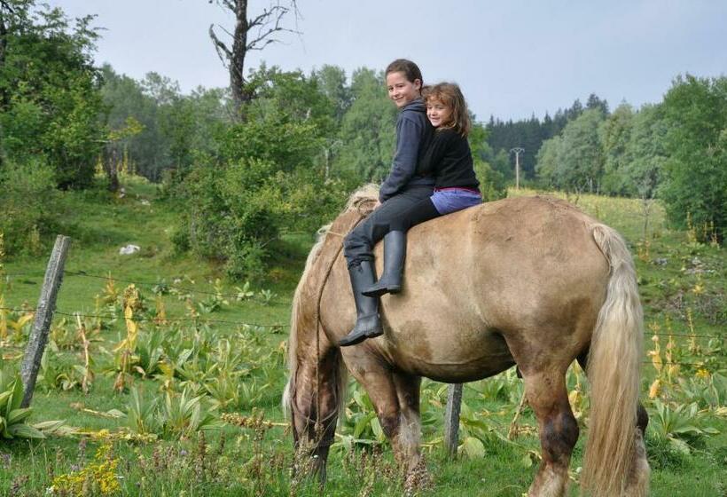 호스텔 Auberge Le Sillet