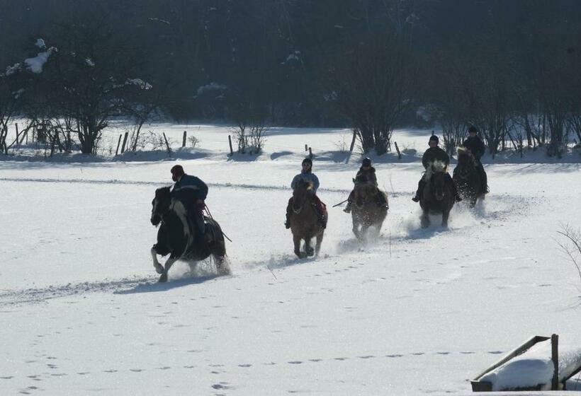 호스텔 Auberge Le Sillet