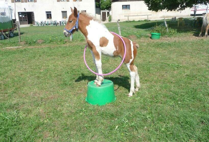 호스텔 Auberge Le Sillet