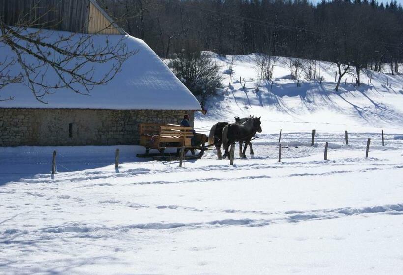 호스텔 Auberge Le Sillet