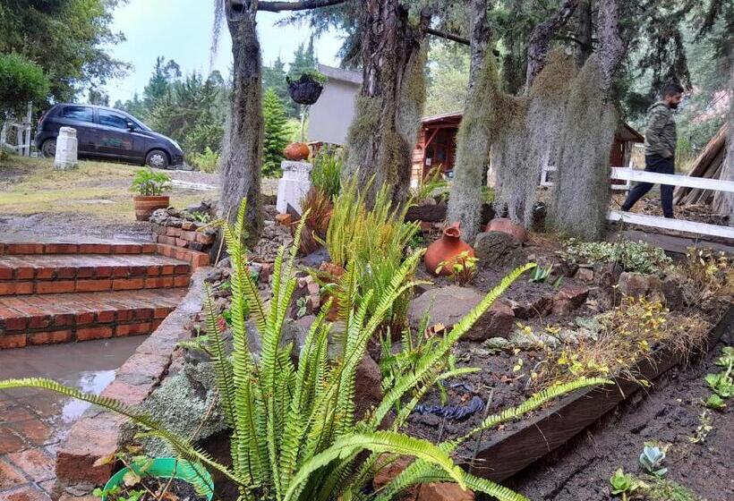 호스텔 Estancia Cucunuvaca