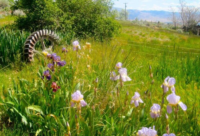 הוסטל Old Pioneer Garden Country Inn