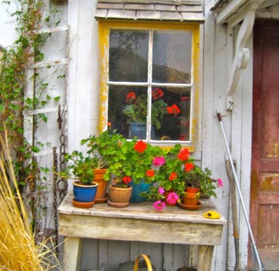 فندق صغير Old Pioneer Garden Country Inn