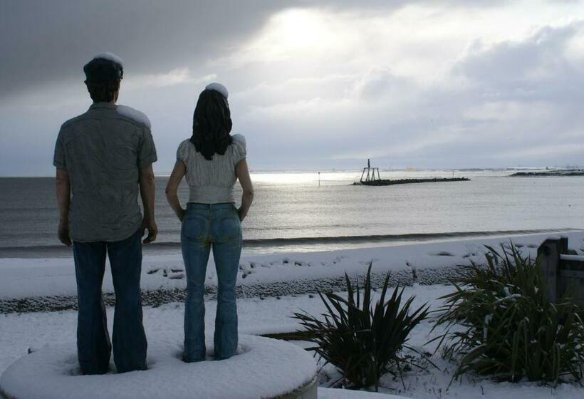 호스텔 The Old Ship