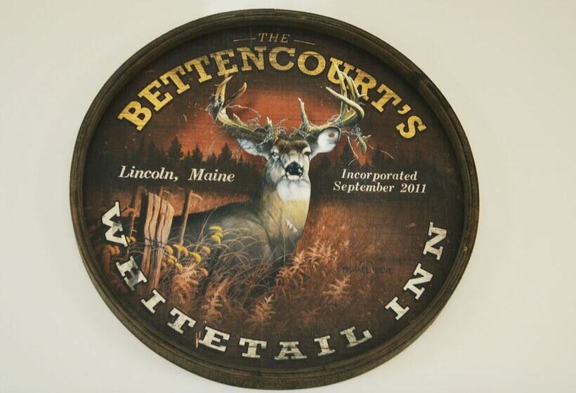 فندق صغير The Whitetail And Suites