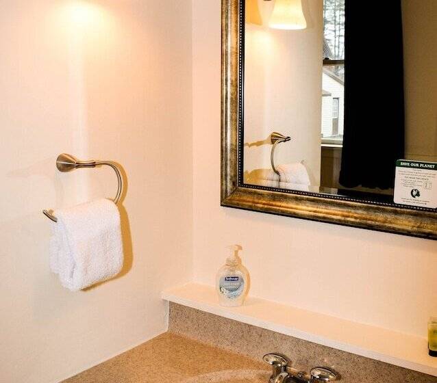 فندق صغير The Whitetail And Suites