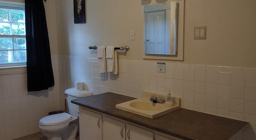 فندق صغير The Whitetail And Suites