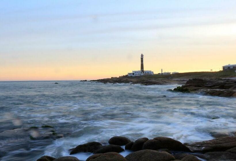 هاستل Viejo Lobo