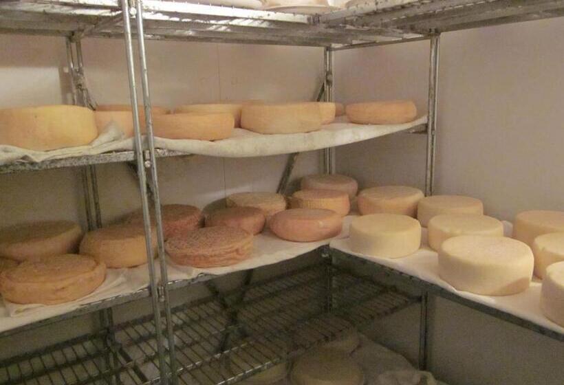 مبيت وإفطار Agriturismo Mulino Marghen   Restored Watermill   Retreat Center