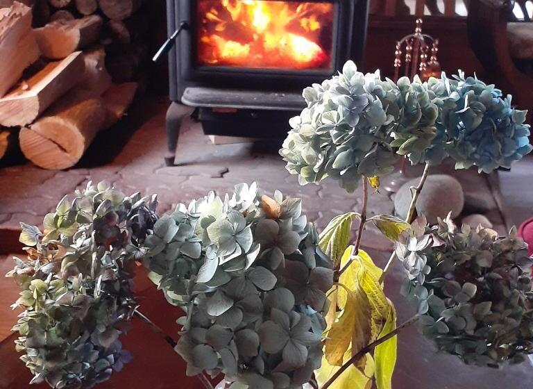 צימר Alert Bay Lodge