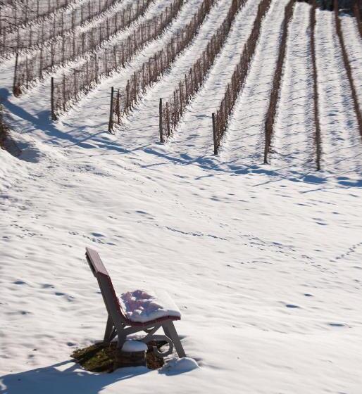 צימר All'ombra Del Castello