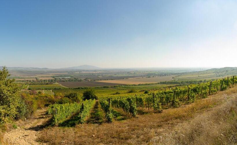 ベッドアンドブレックファースト Angyal Borászat és Panzió