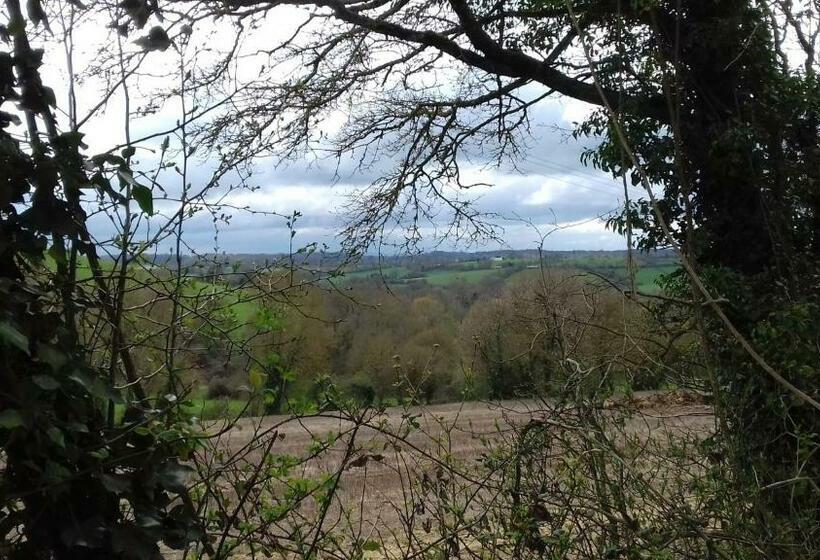 ベッドアンドブレックファースト Au Jardin Des Violettes