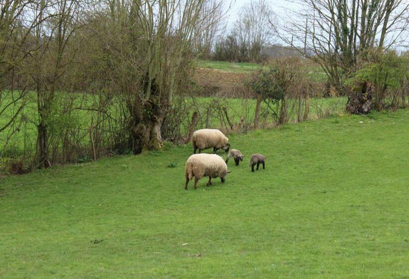 ベッドアンドブレックファースト Au Jardin Des Violettes