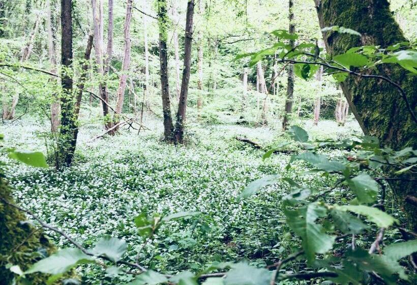 Bed and Breakfast Aubépine