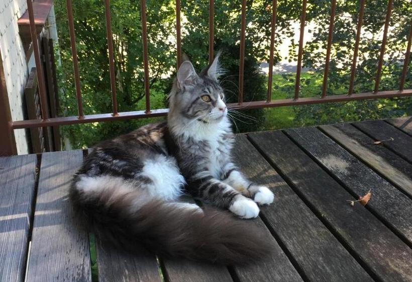 Bed and Breakfast Bnb Haag