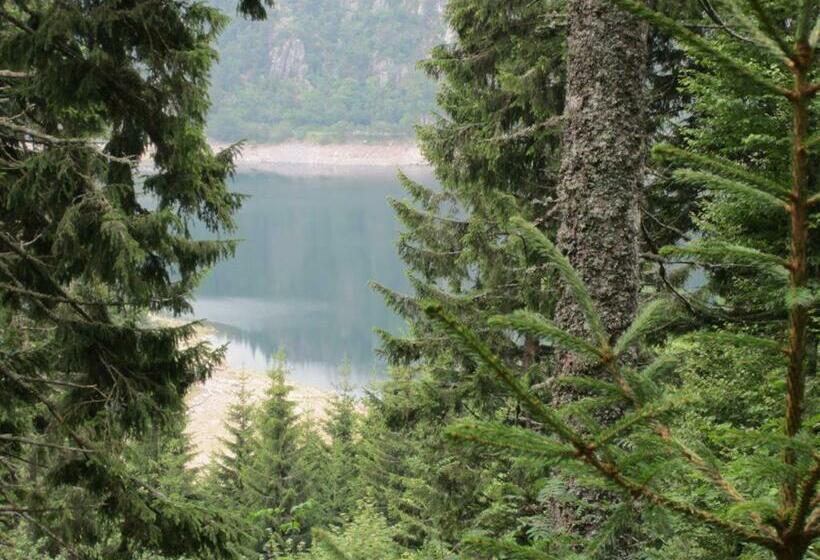 Bed and Breakfast Bois Joli De La Freyère