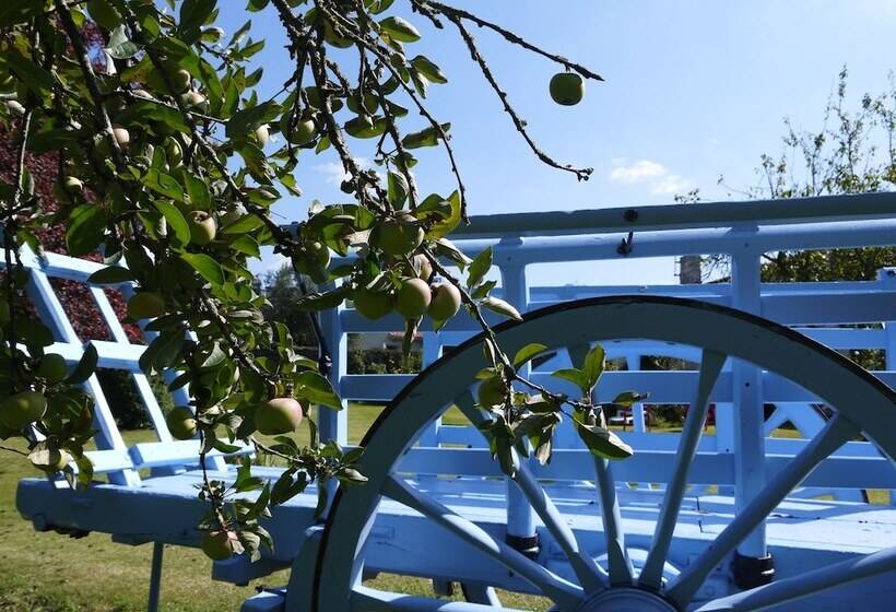 住宿加早餐  Aux Chambres Des Bujours