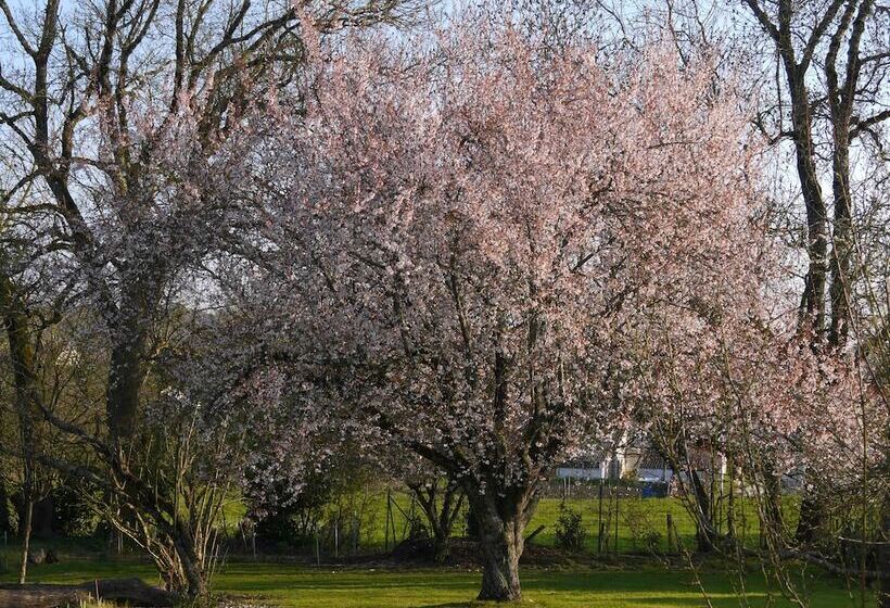 住宿加早餐  Aux Chambres Des Bujours