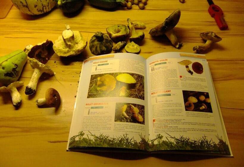 Bed and Breakfast Chambres D Hôtes Le Foursou