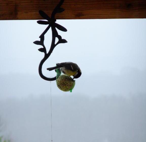 Bed and Breakfast Chambres D Hôtes Le Foursou