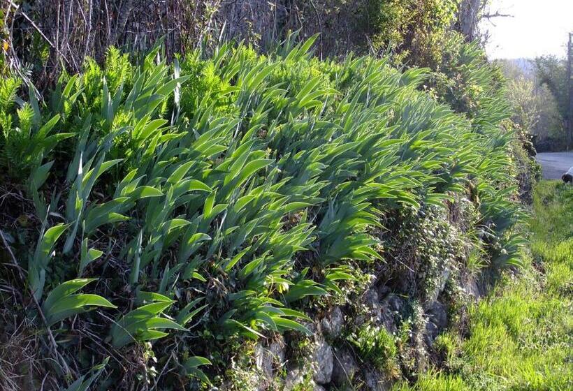 Bed and Breakfast Chambres D Hôtes Le Foursou