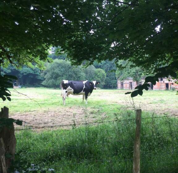 مبيت وإفطار Chambres D'hôtes Aux Ecuries Du Chateau