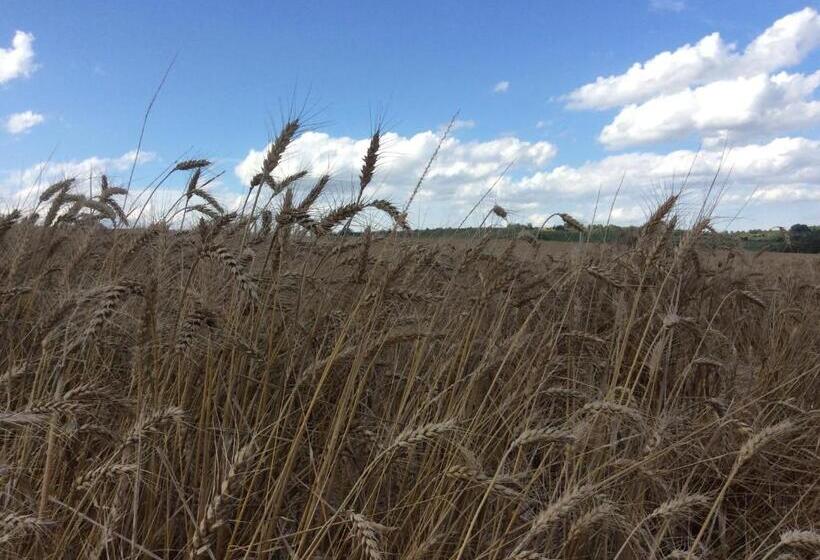 مبيت وإفطار Chambres D'hôtes Les Templiers